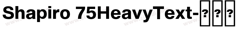 Shapiro 75HeavyText字体转换 Shapiro 75HeavyText字体转换